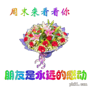 早上好表情问候图片,朋友早安,周末愉快,假期快乐!