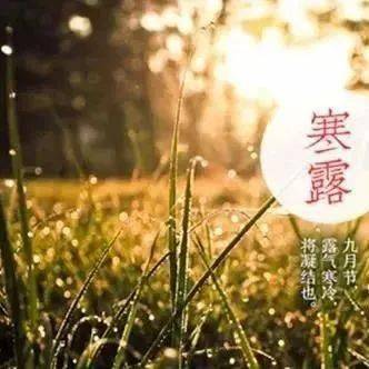 寒露的简谱_寒露简笔画(2)