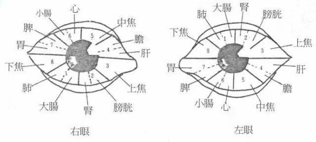 什么是交叉配血 原理_两杆枪交叉是什么意思(3)