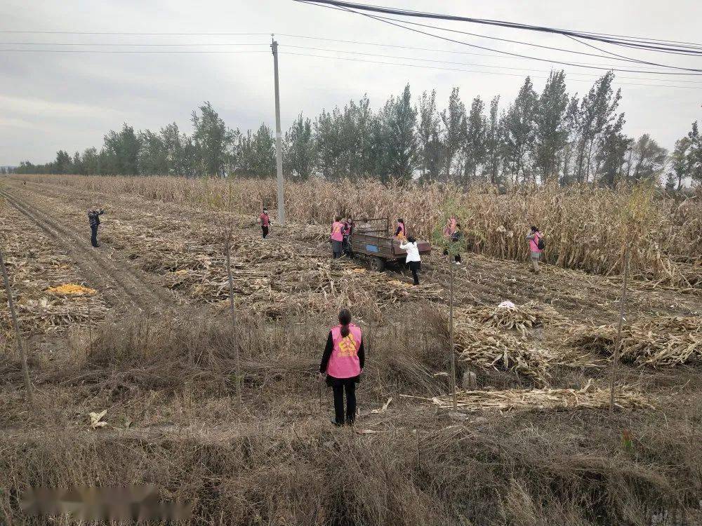 范家屯人口_长春市范家屯规划图(2)