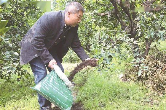 树是怎么吸收水分 2dcb80e7fca44756abafb1fbdf8165ee.jpeg