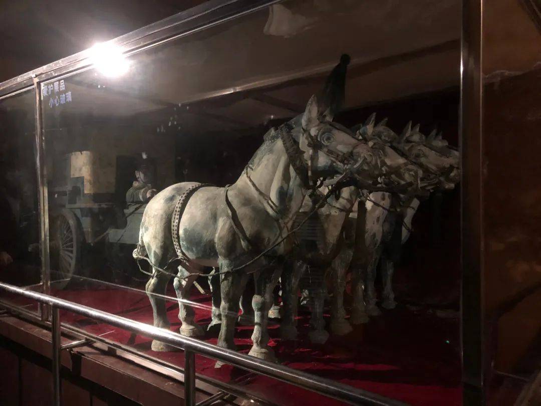 太离谱了，我被骗去看了西安最真的假兵马俑