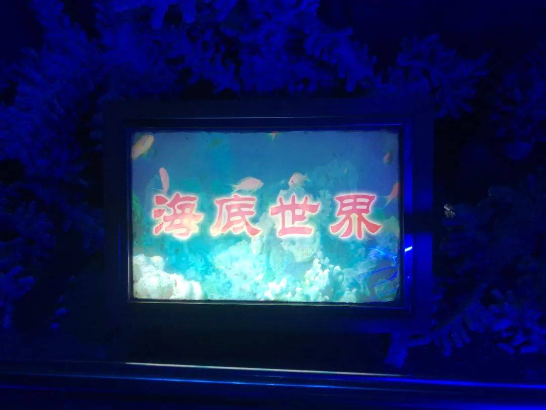 太离谱了，我被骗去看了西安最真的假兵马俑