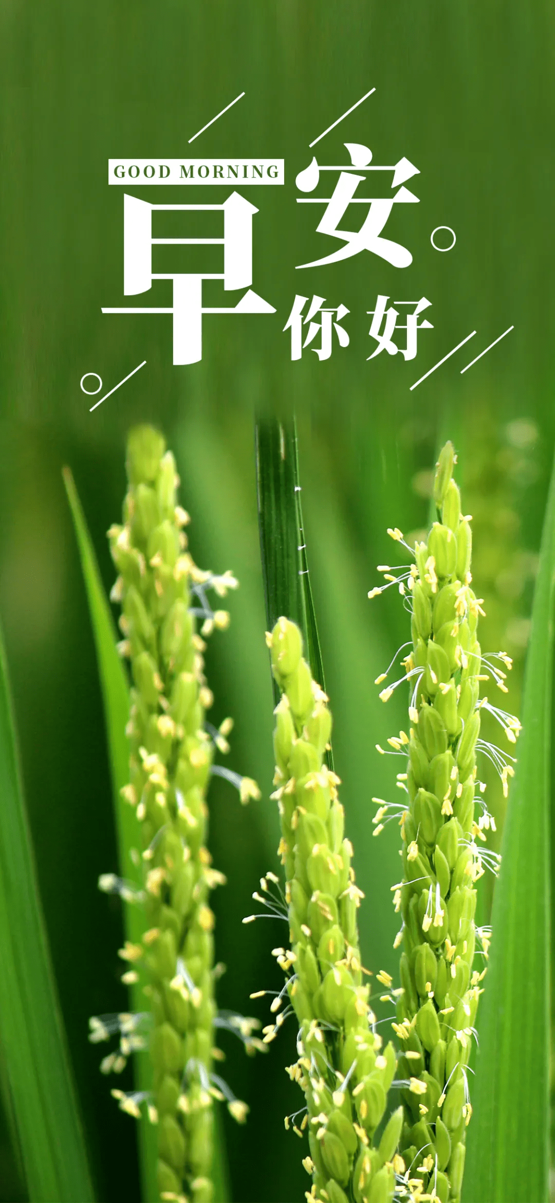 10月11日 | 早安 · 心语