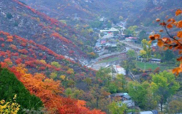 周末1日 | 秋韵·游幽岚山叠翠胜境 拍药王谷生态景观