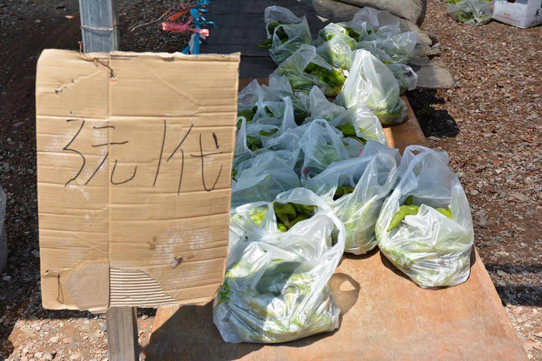 收尸袋多少钱一袋 ea4b43ba9eb0496bacab6a5314b86b09.jpeg