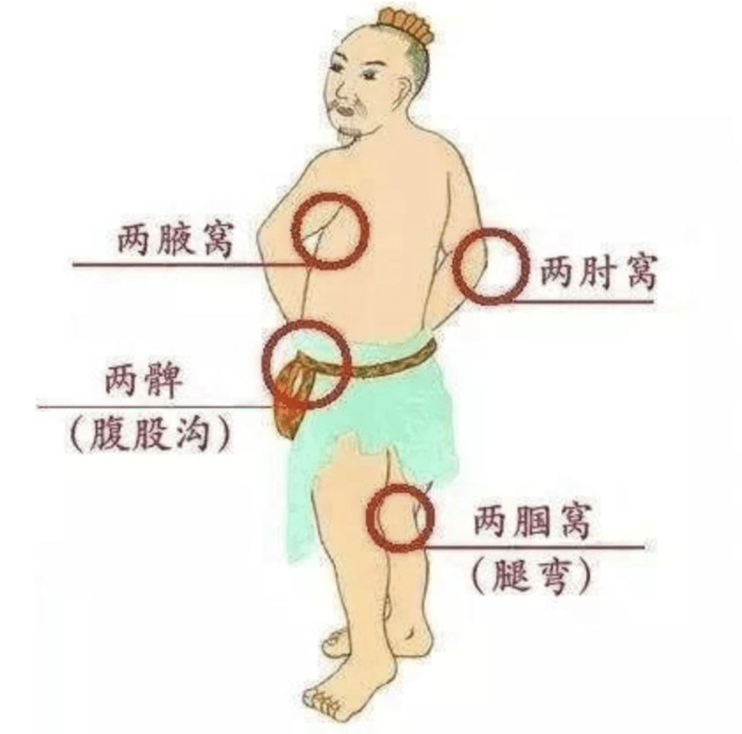 人体有八个大窝又称八虚,它们