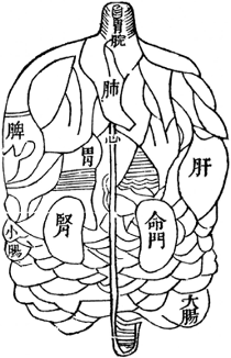 西方|鲁迅为何偏爱“解剖”的隐喻？