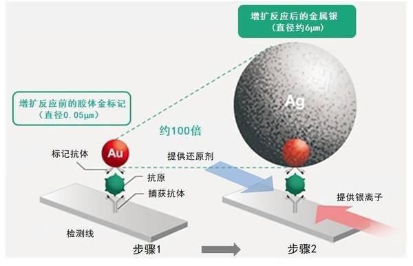 离子共存是什么原理_水离子是什么东西