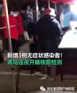 青岛600万人口核酸检测_青岛核酸检测现场图片(3)