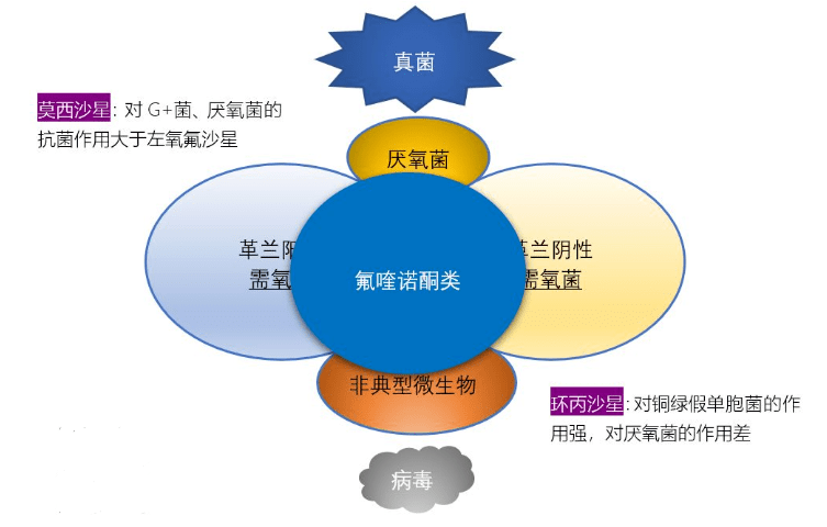 不愁曲谱_陶笛曲谱12孔(5)