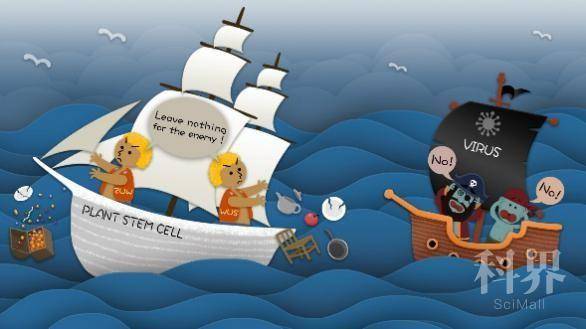 病毒|植物茎尖为何不会被病毒感染？