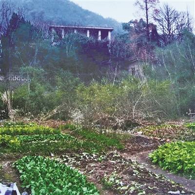 窑址|炉火烧了千余年，如今遗址踪影难觅让东钱湖越窑遗产“活”起来