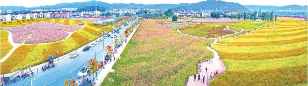 花海就位于高新园区智能装备小镇里,位于沃西大道南侧,紧挨梅渚古村的