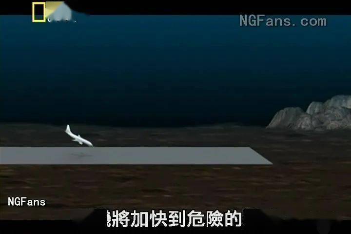 cecc3796a4784d6cae5528366f012faf.jpeg