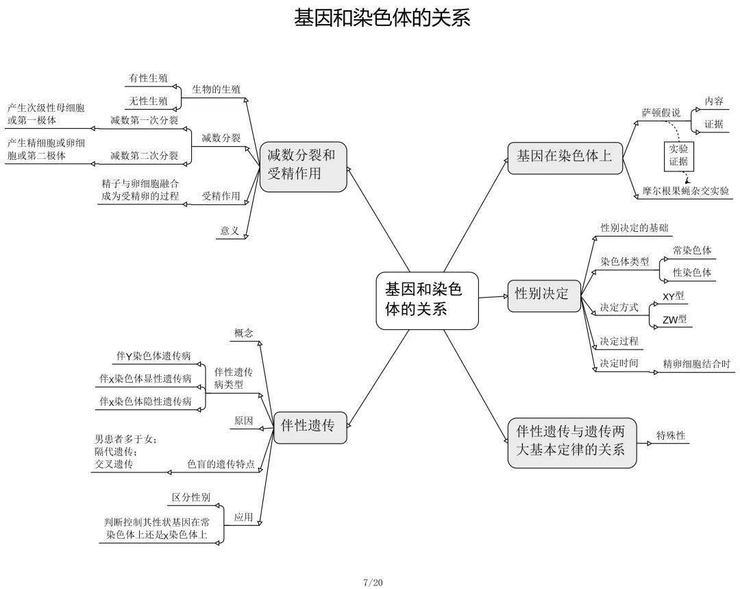 高一地理人口的分布思维导图_高一地理人口思维导图(2)