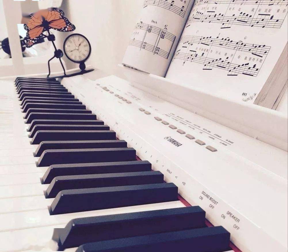 怎样练好钢琴指法 129b2d08a1b74b468f65c1a9d66372d6.jpeg