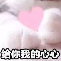 自然光|12款秋冬粉底｜就想通过实测帮你找到最适合你的…