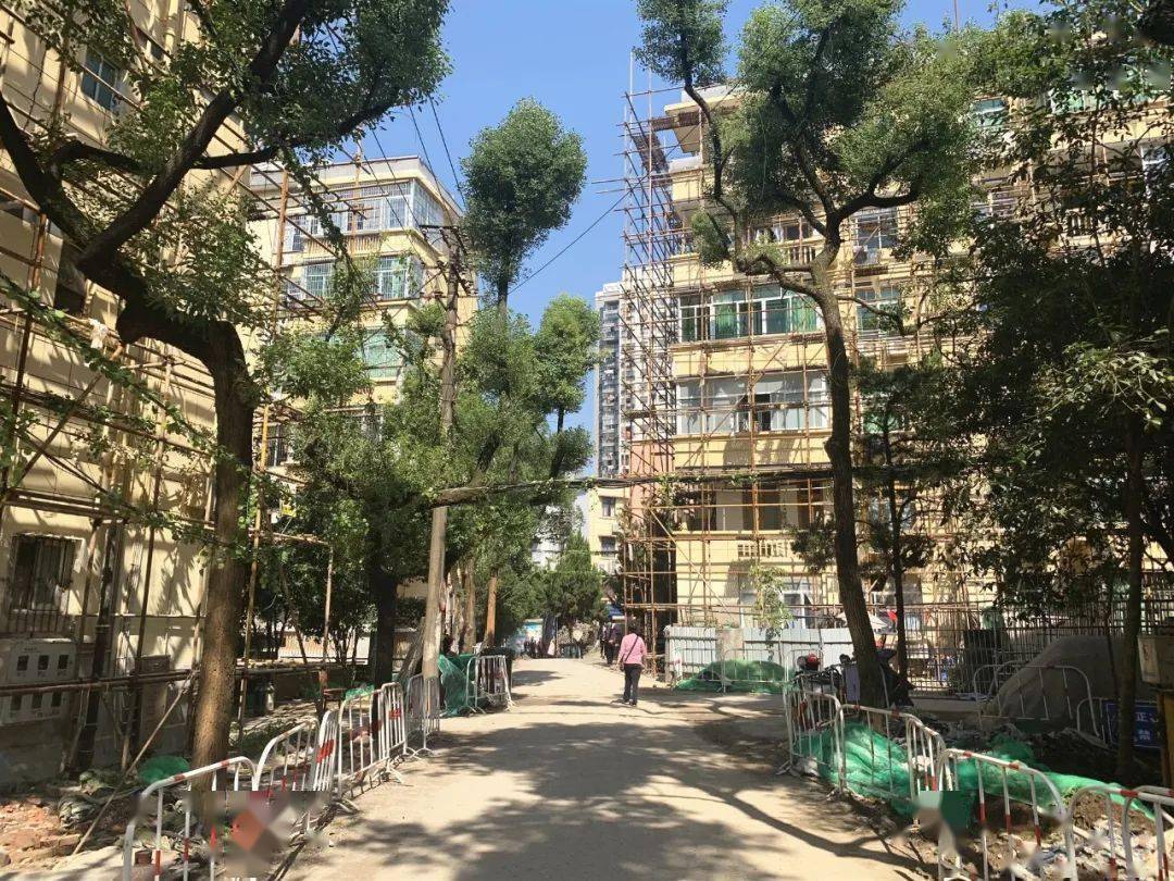 景德镇建造40年的老宿舍将获"新生",被打造成老旧小区