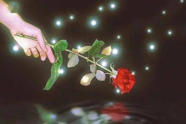 飞蛾扑火的爱情在线阅读 20c8d09ef79f45c29237f2714627edae.jpeg