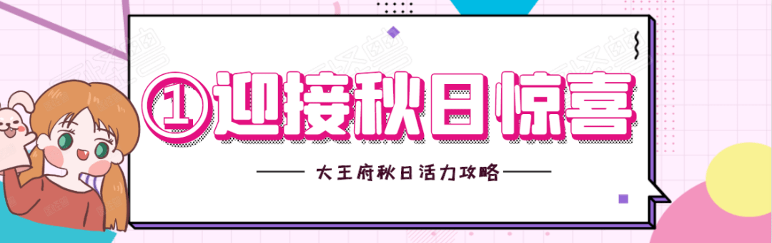 井粉|10.17-18 超级V·VIP之夜！20元团120元福利抢先得！VIP专场福利满满，海购不停歇~