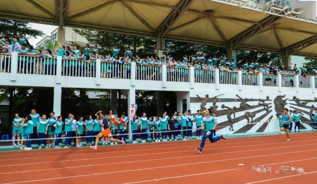 佛山市2020年上半年g_佛山市假烟案2021年(2)