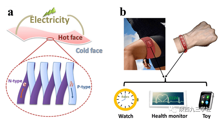 (b)有机热电材料器件在支持可穿戴设备方面的潜在应用,例如