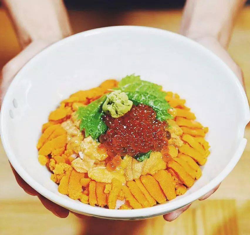 海胆|你猜最长寿的海鲜是谁？海韵大连 | 它能活到200岁