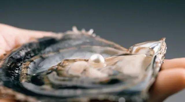 女人|百搭珍珠！女人最基本的高贵，让你气质全开！