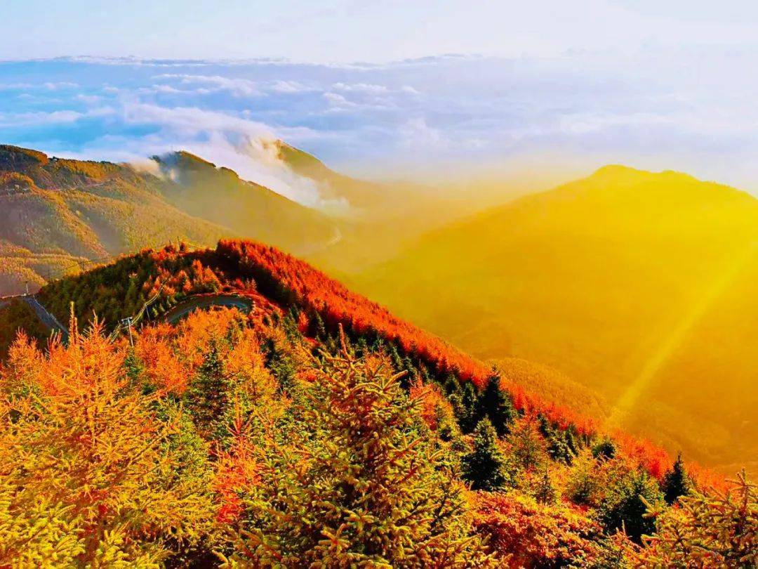 秋意渐浓,美景如画,六盘山盛装期待您的到来~_风景