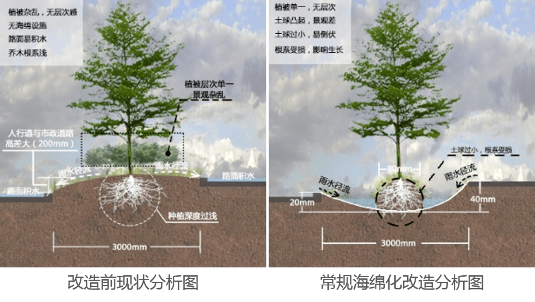 海绵城市与园林景观深圳光明区海绵城市试点区域海绵化改造项目实践