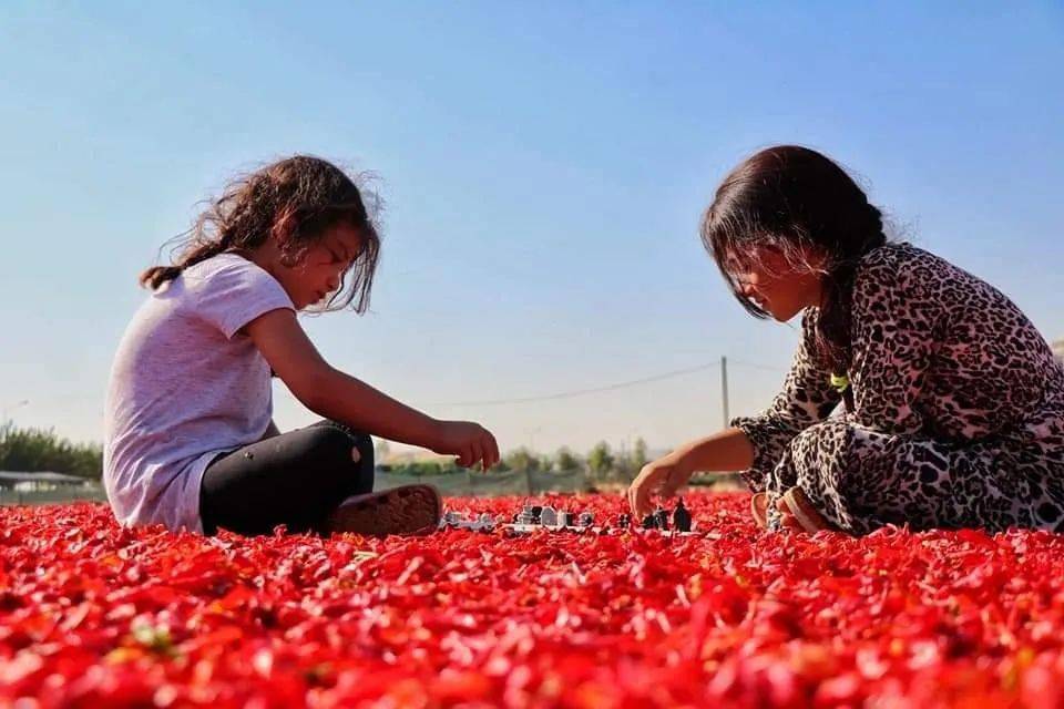 土尔其|土尔其：国际象棋遇见历史