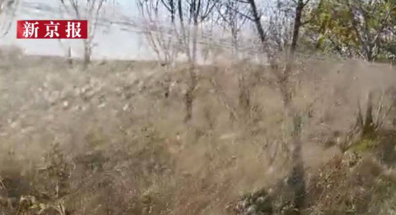 河北秦皇岛设千米捕鸟网嫌疑人被刑拘，其妻涉