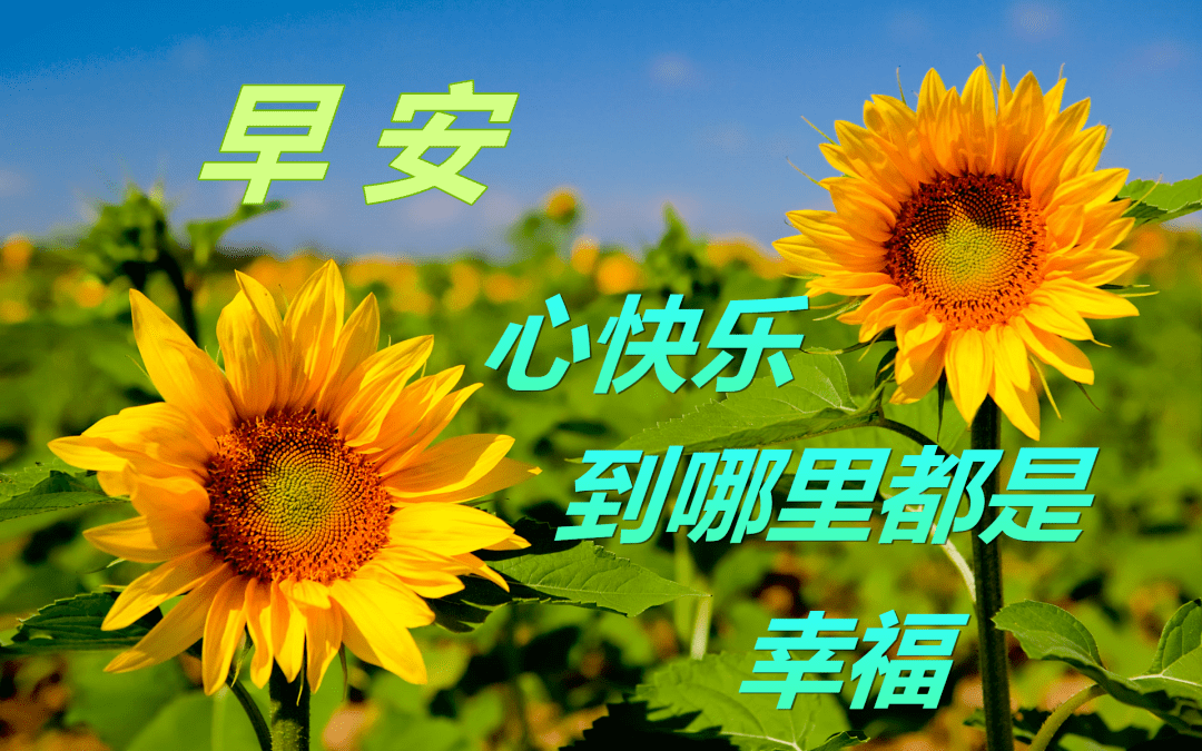 10月15日最漂亮早上好动态表情图片大全,早晨好美图大全