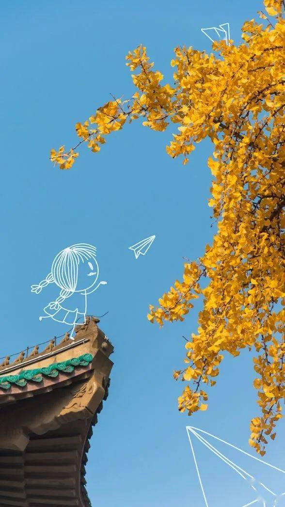 公众|终于被做成手机壁纸了!【理想大学】你的理想大学
