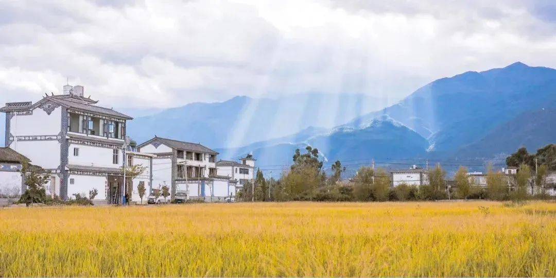 康康错过等一年盘点国内三大网红稻田这才是南方的秋天