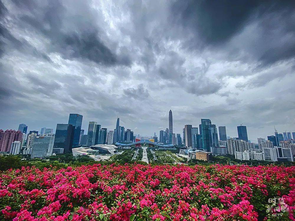 粤港湾大湾区经济总量第一城_粤港澳大湾区图片(2)