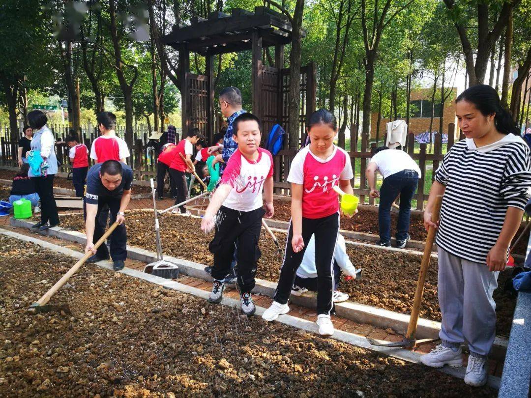 禹娃爱劳动种植劳动初体验校园农场显生机