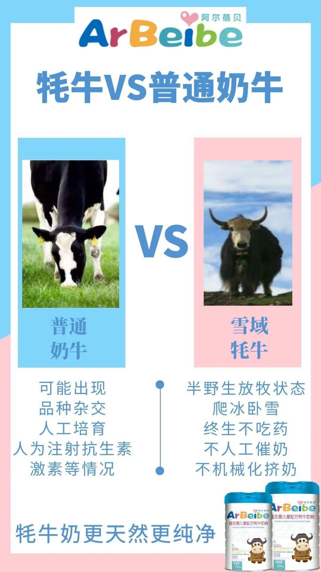 揭秘牦牛奶与普通牛奶的区别,你就知道为什么牦牛奶被称作奶中贵族了!