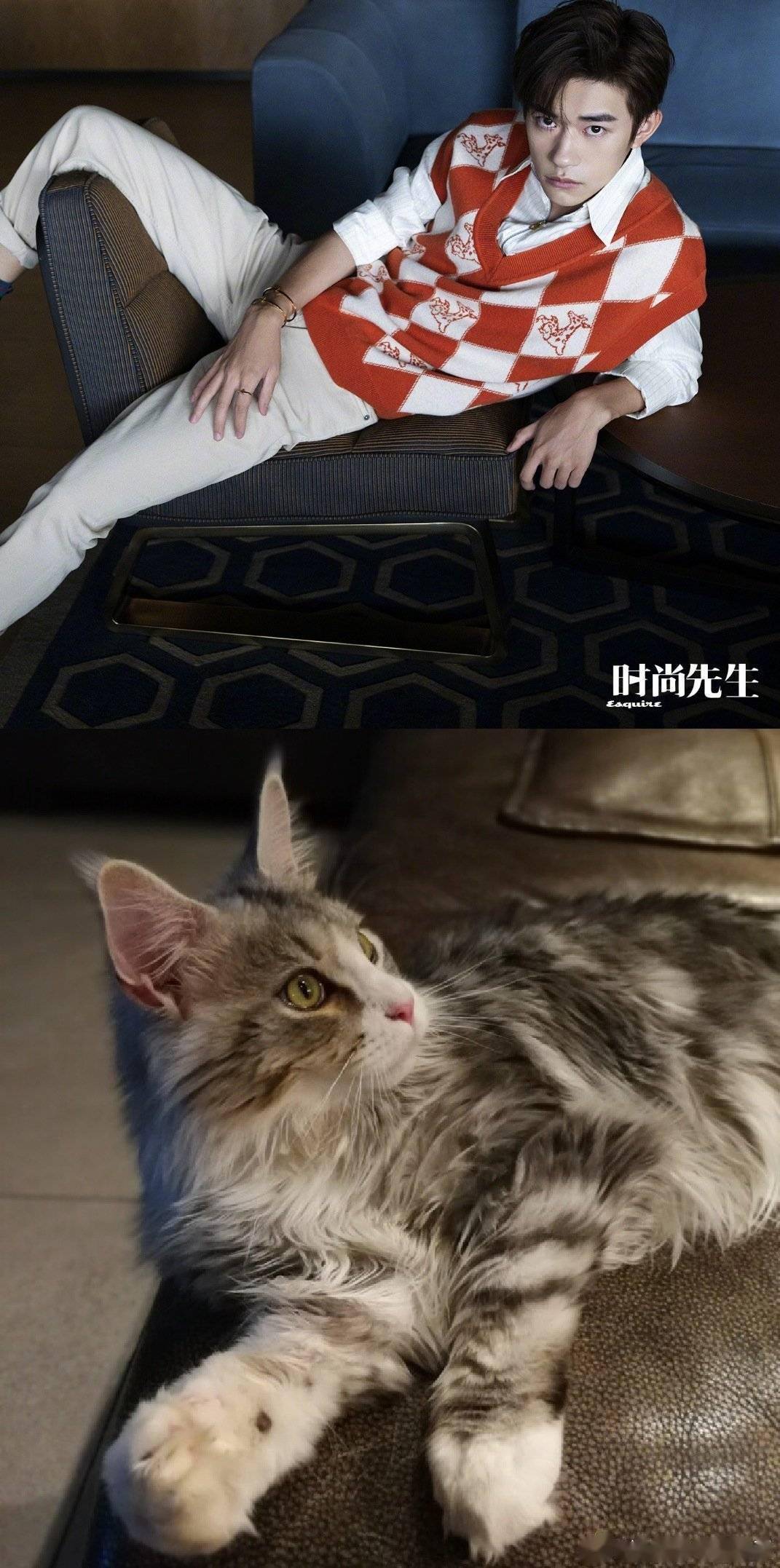 易烊千玺与缅因猫撞脸,烊烊与小猫天生的缘分