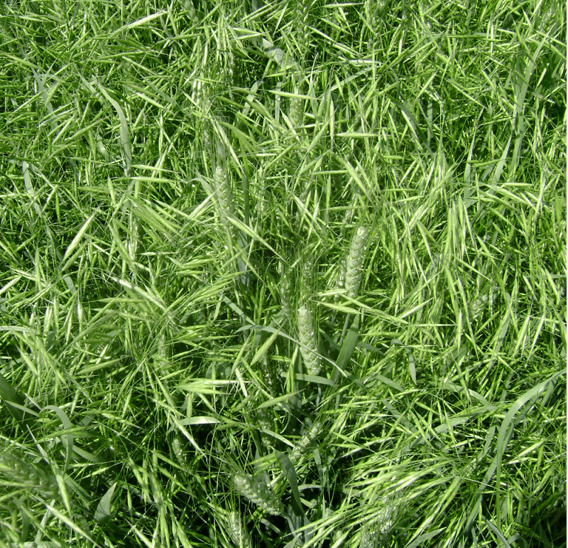 120921a76efe4a70b9071b8ff3f7da1a.png