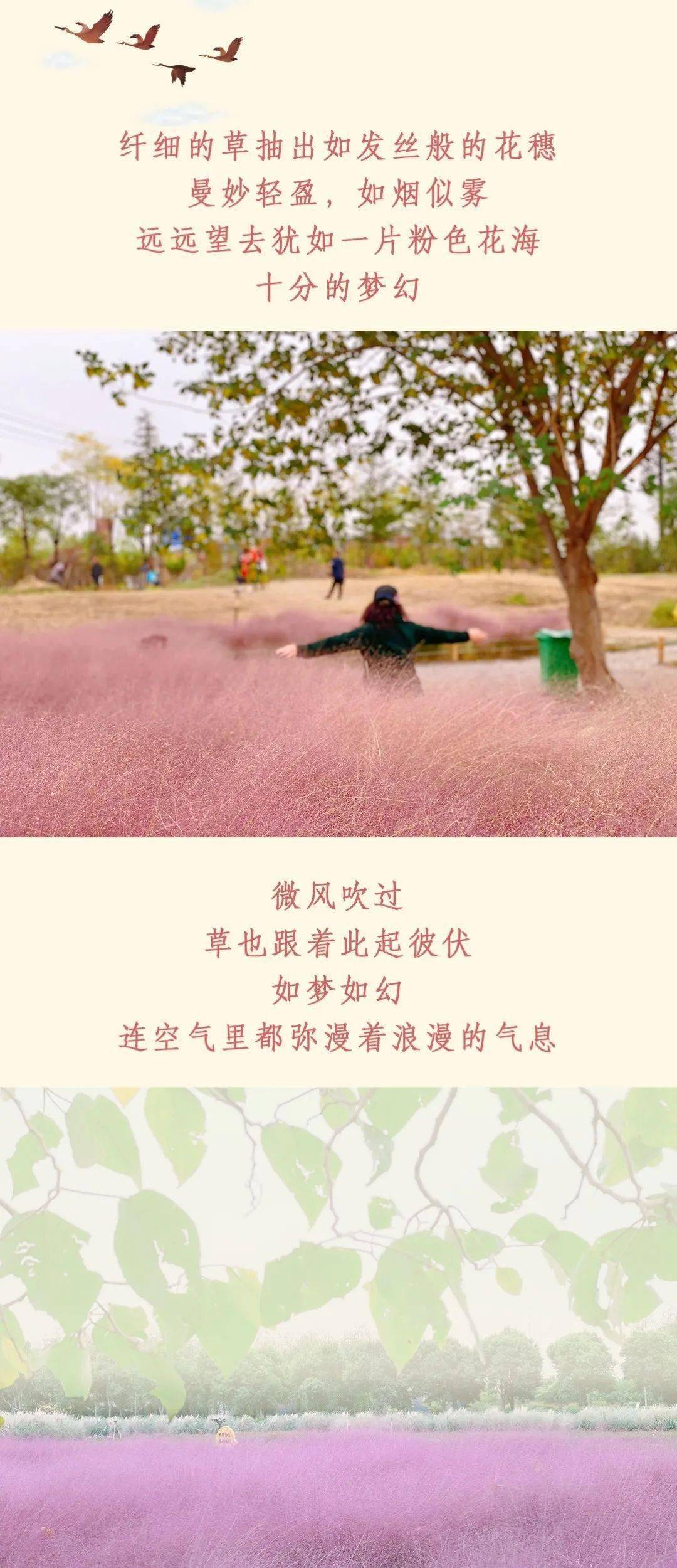 粉雾海简谱_易烊千玺粉雾海简谱