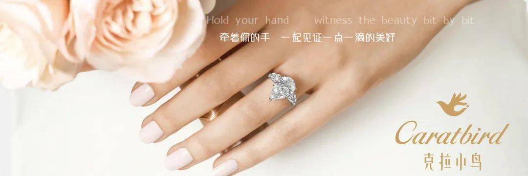 克拉|克拉小鸟丨无需拼团，也可以拥有名媛精致珠宝首饰