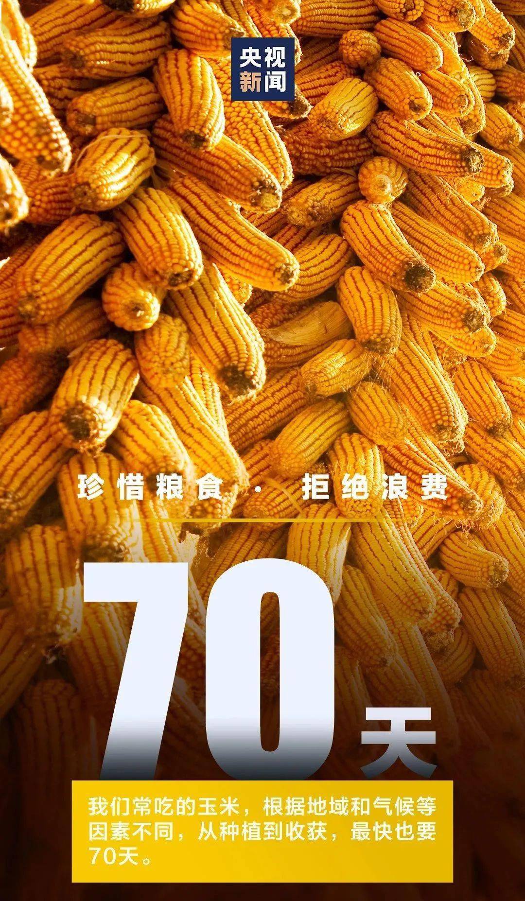 人均年粮食_人均农业粮食产量(3)
