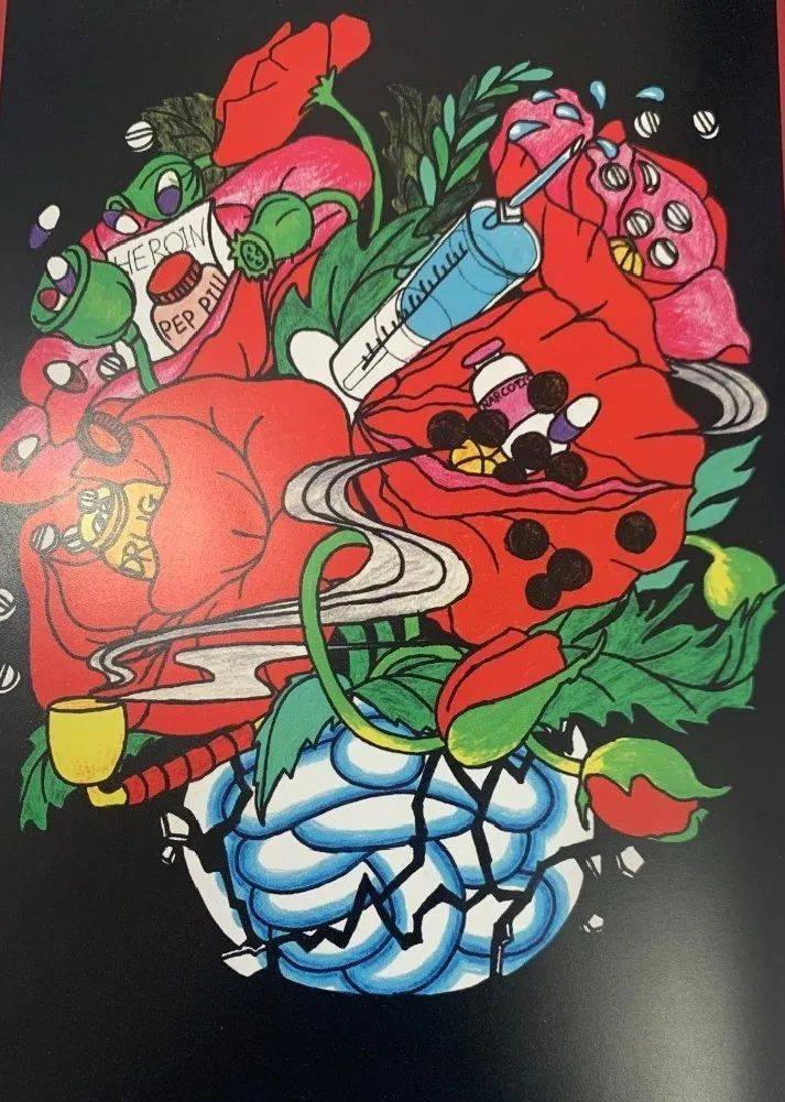 充分发挥校园禁毒示范效应,进一步推动毒品预防教育在地区内的各类