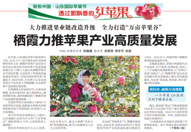 栖霞|全力打造“万亩苹果谷”！栖霞力推苹果产业高质量发展