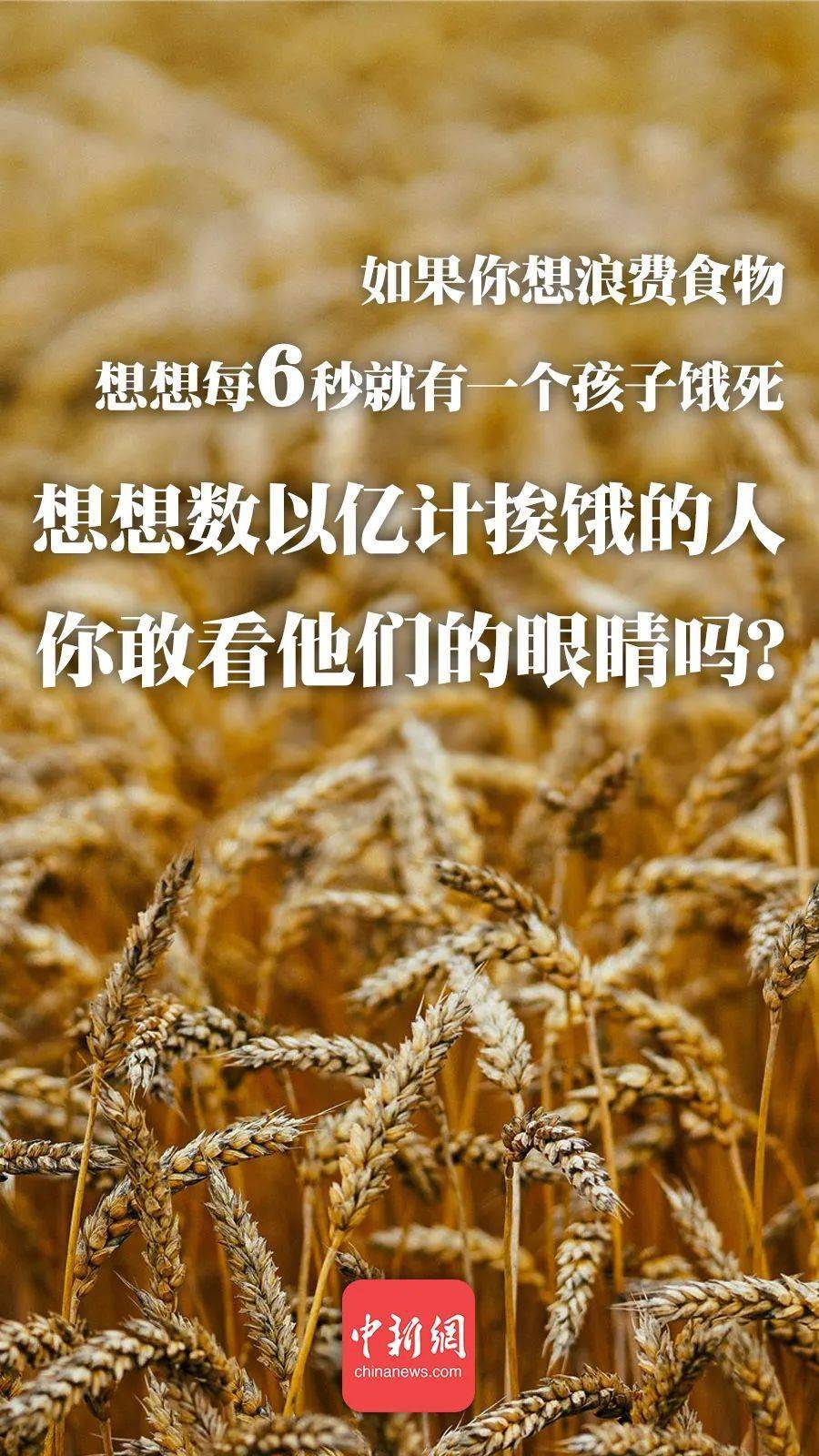 什么饭饱成语_成语故事图片