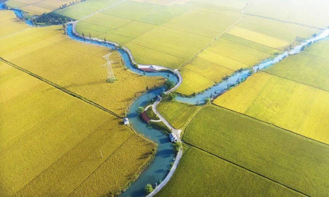 路及一座观景台,游客朋友们可近距离感受"风吹稻花香两岸"的丰收喜悦