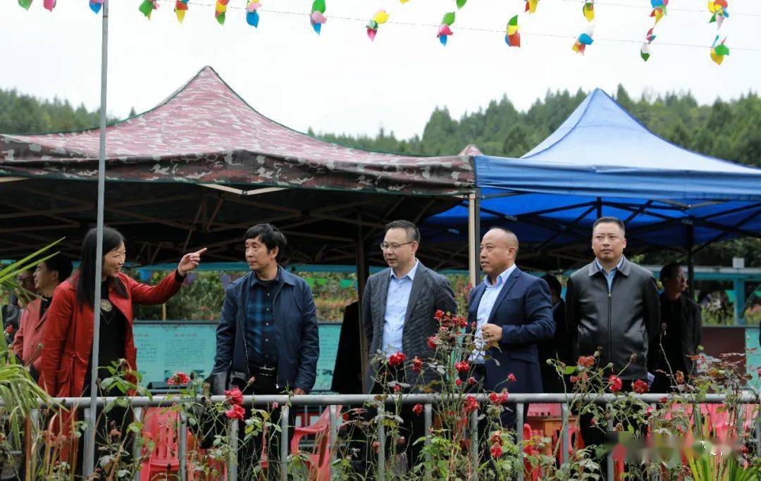 南部县委副书记带人大代表到伏虎这里视察