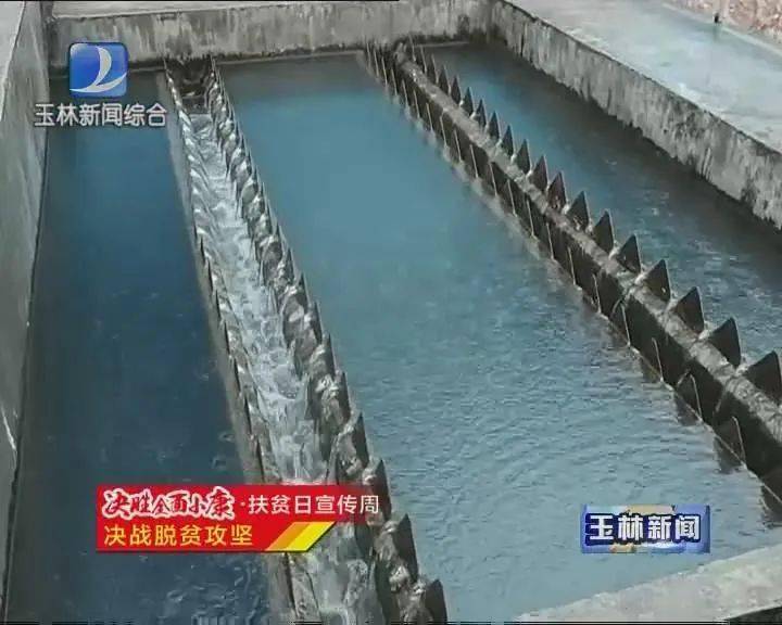 博白人口2021总人数_博白空心菜图片(2)